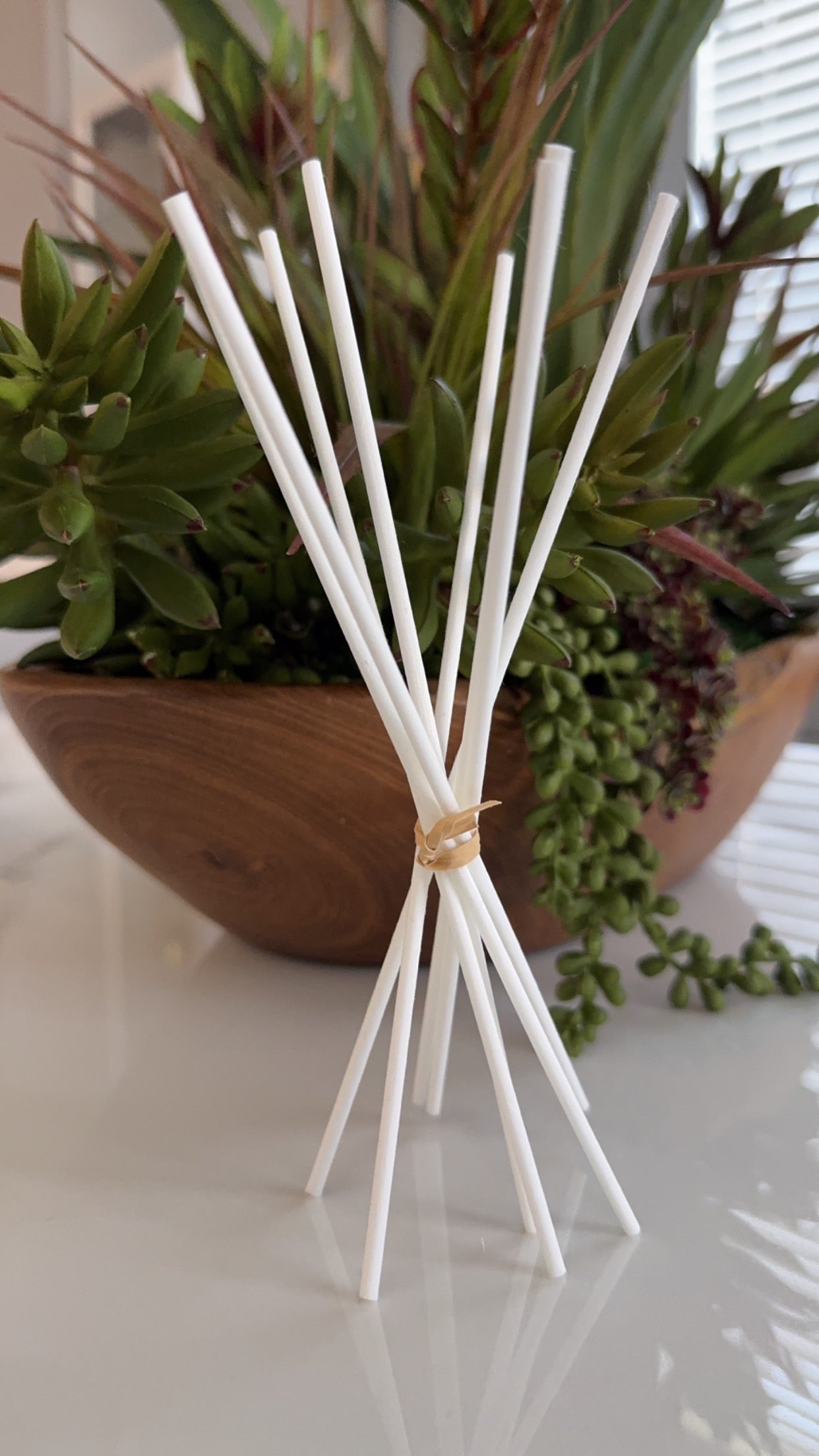 White Diffuser Reeds Scent Sticks